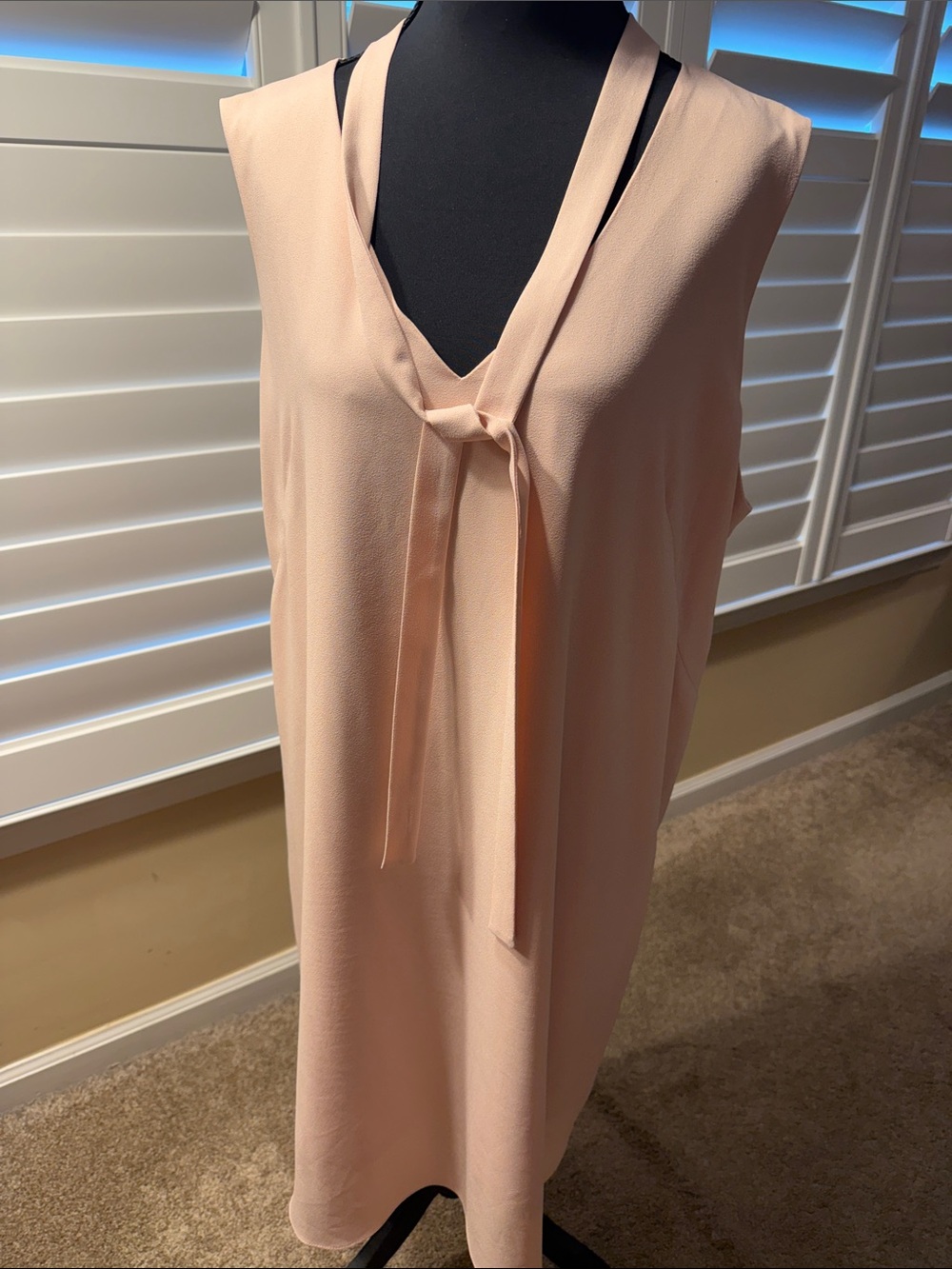 Sami & Jo Sleeveless Blush Tie-Neck Chemise